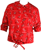 Plus size Pin-up girl Blouse
