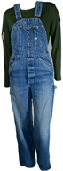 Lee Jelt Denim Overalls