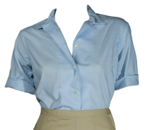 Fitted Blouse