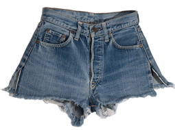 1960s Cut Off Daisy Duke Shorts