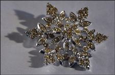 Vintage Sarah Coventry Brooch