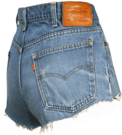 Vintage Daisy Dukes