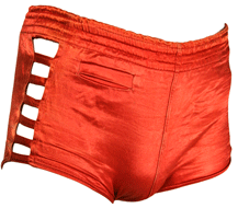Wild 1940s Swimsuit
