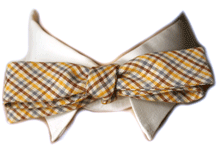 Vintage Palm Beach Bow Tie