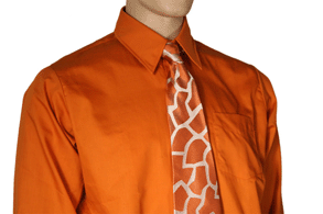 Mod Shirt and Tie Combo